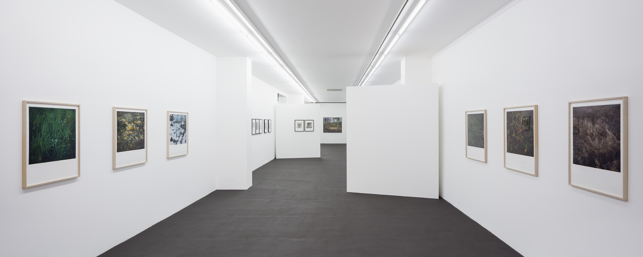 Kehrer Berlin Galerie, Ausstellung Lob der Wildnis | Serial Landscapes, 7. Februar bis 29. März 2015. © Foto: Henning Rogge.