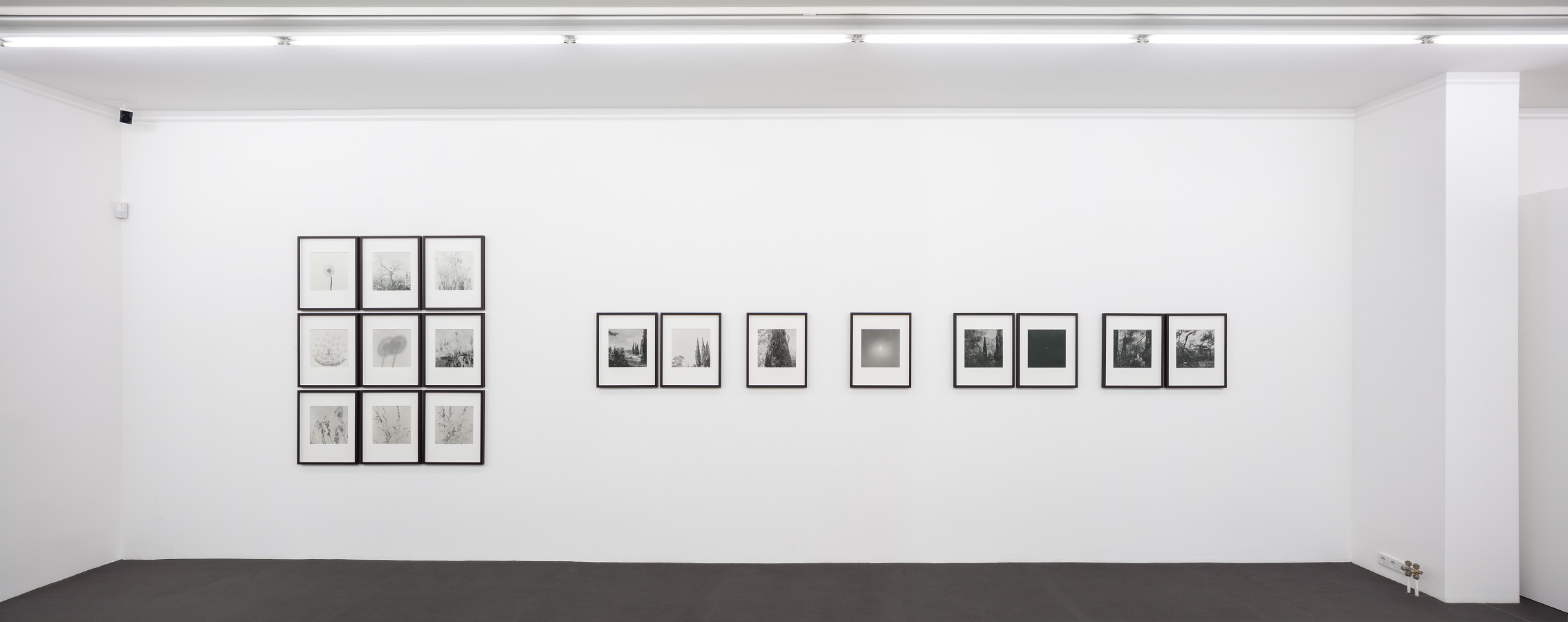 Kehrer Berlin Galerie, Ausstellung Lob der Wildnis | Serial Landscapes, 7. Februar bis 29. März 2015. © Foto: Henning Rogge