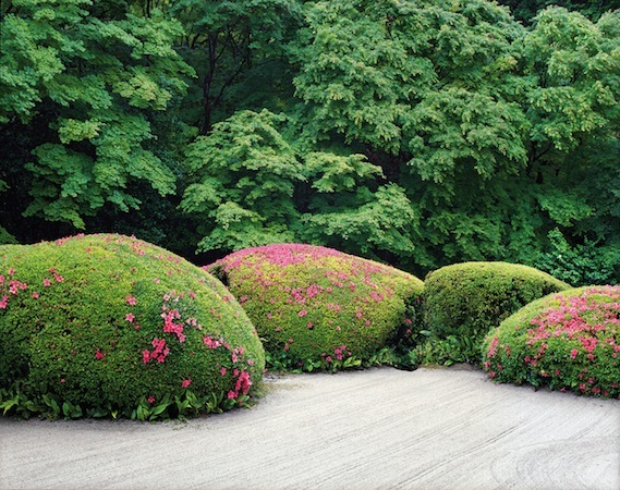 Shisen-dō 11, Spring, from the series 'View, Kyoto', 2009 © Jacqueline Hassink/Kaune, Posnik, Spohr