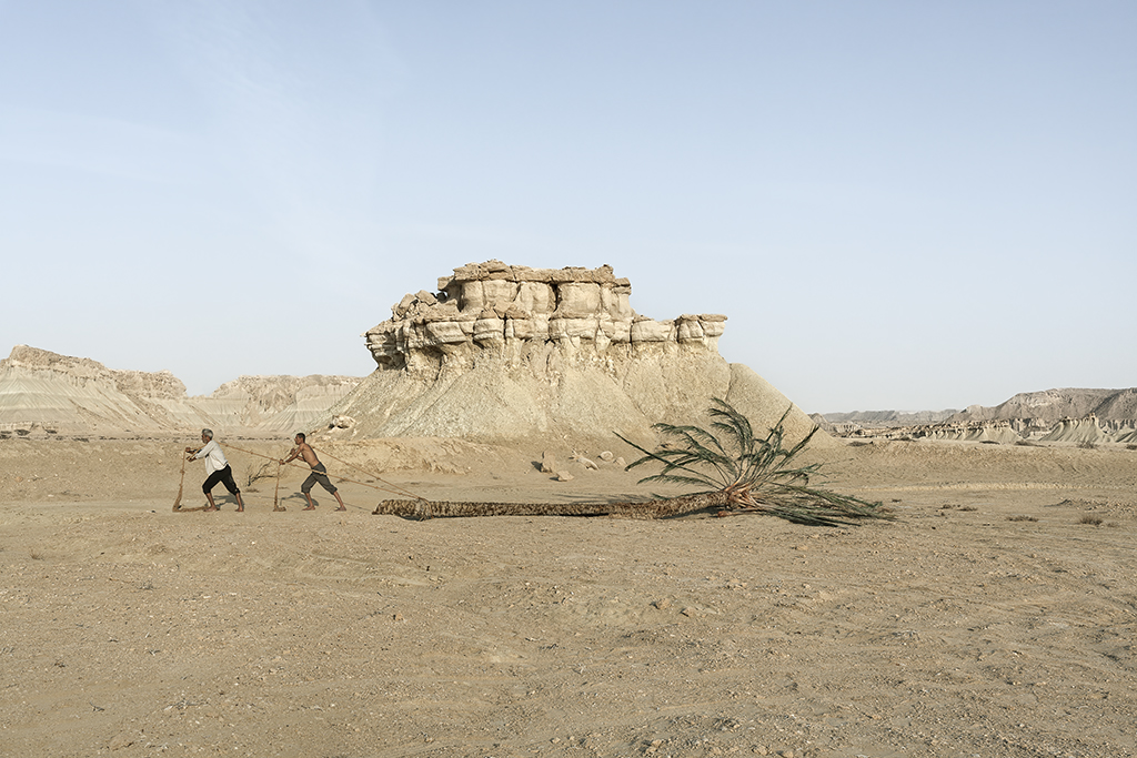 Gohar Dashti / Stateless 2014 , 2015