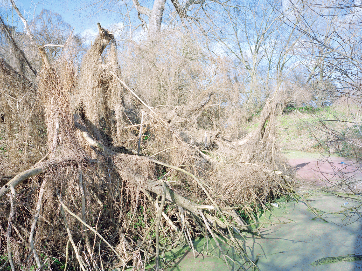 Freya Najade - Along the Hackney Canal - The South Edition