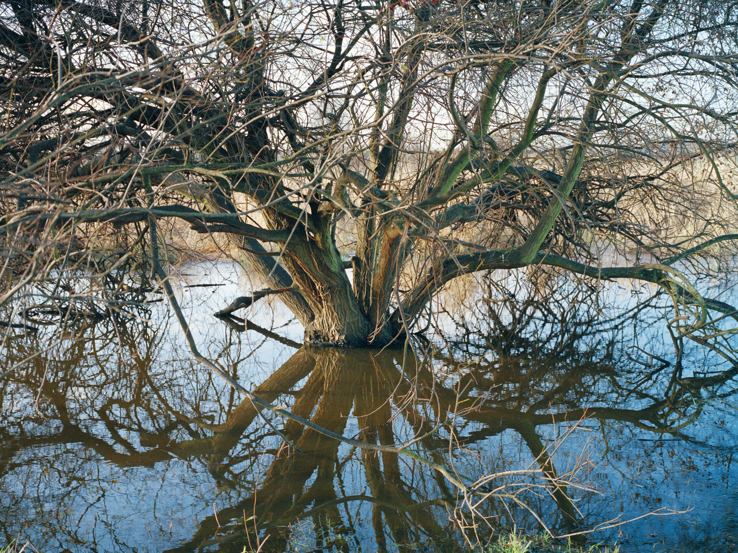 Freya Najade - Along the Hackney Canal - The South Edition