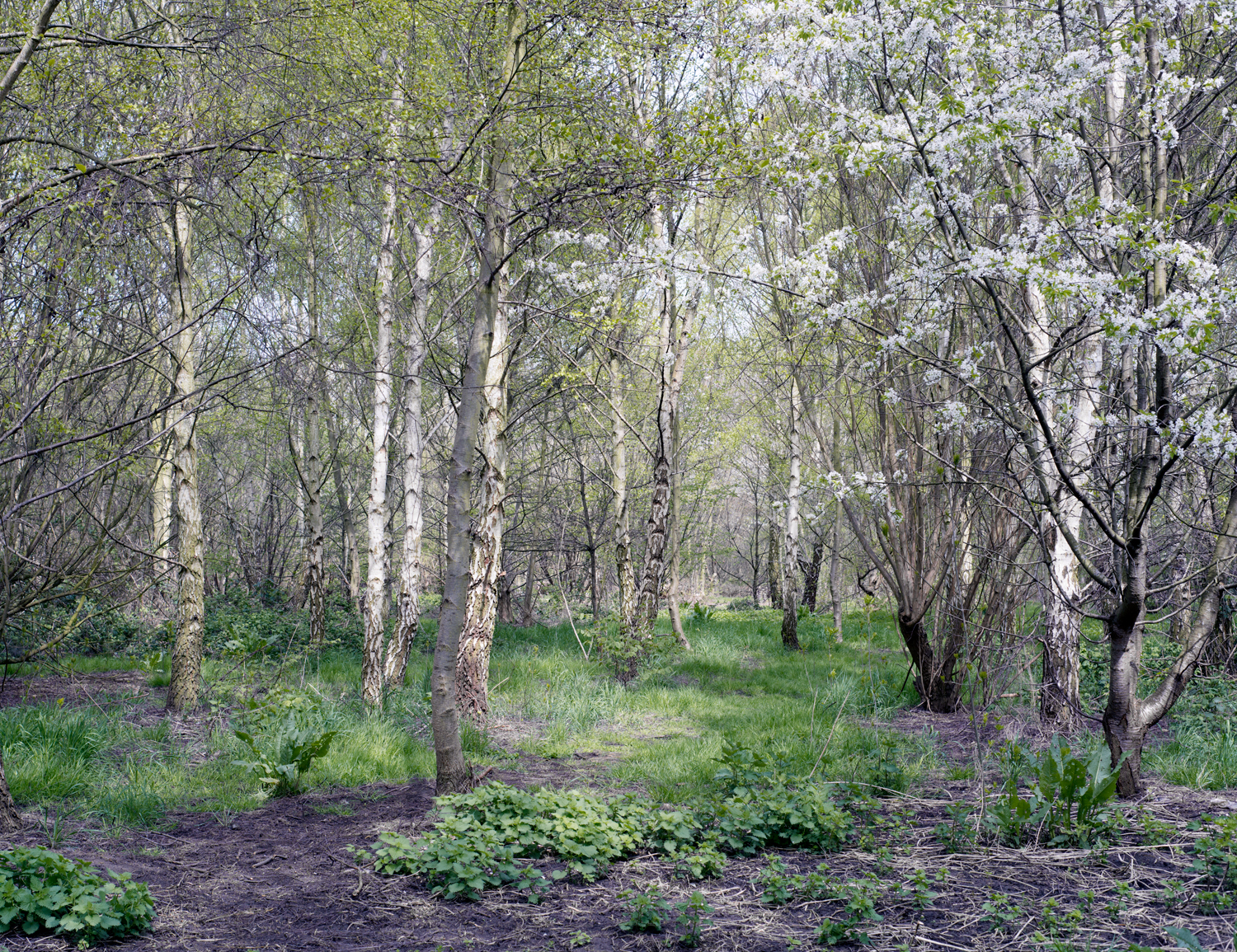 Freya Najade - Along the Hackney Canal - The South Edition