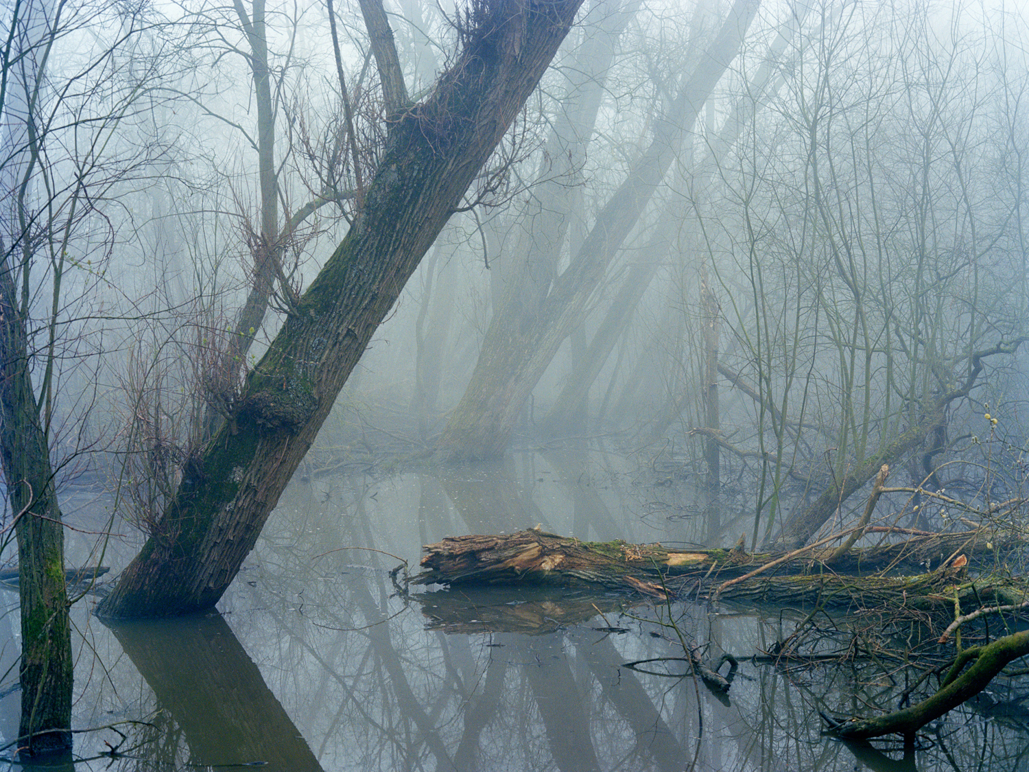 Freya Najade - Along the Hackney Canal - The South Edition