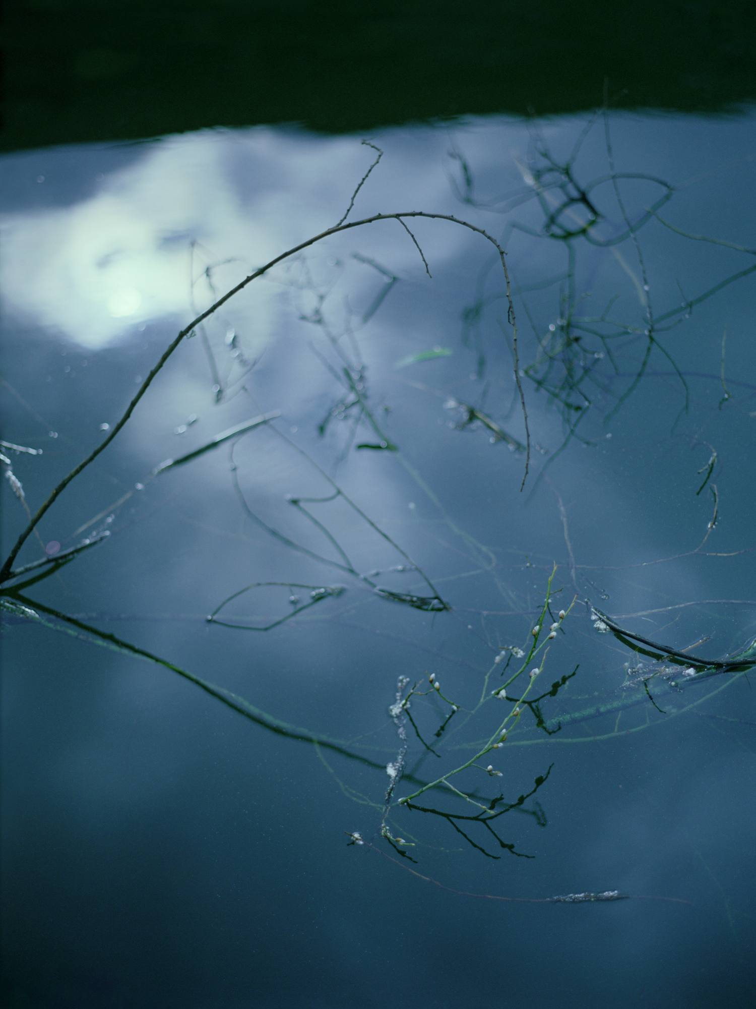 Freya Najade - Along the Hackney Canal  - The South Edition