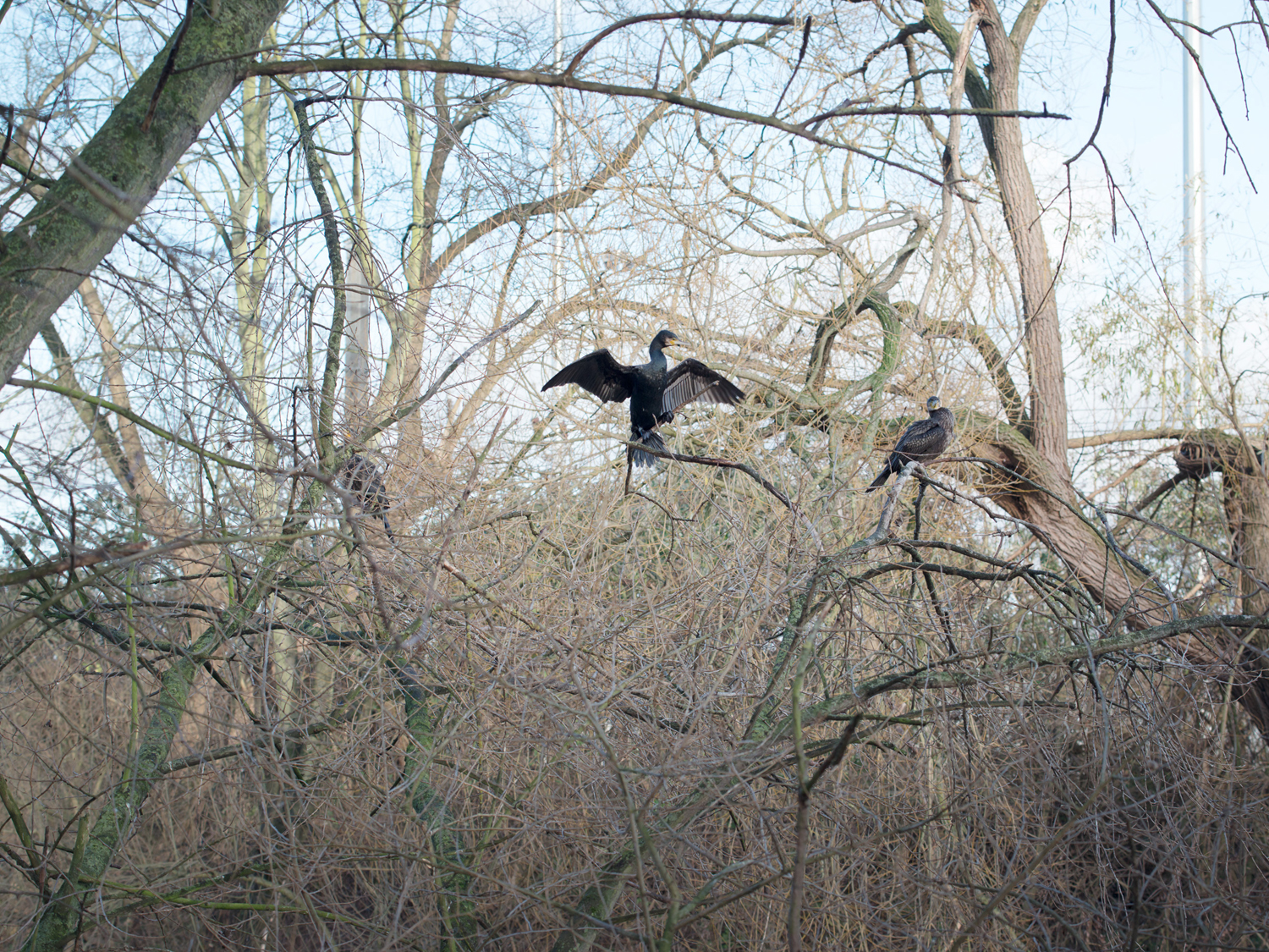 Freya Najade - Along the Hackney Canal - The South Edition