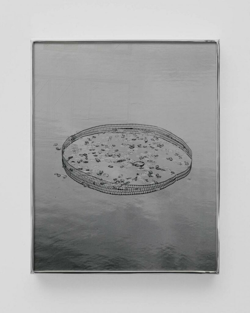 Pond I, from the series Utopian Waters, 2017, Daniel Shea/Webber
